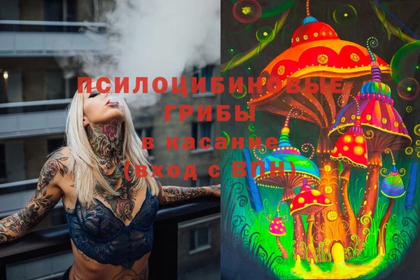 дурь Абаза